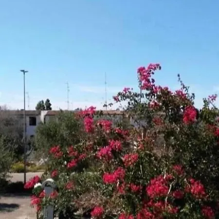 A Due Passi Dal Mare Tatil Evi